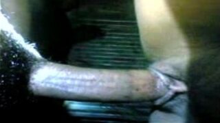 ட்ராமா குயின் திண்டுக்கல் ரீட்டா கிராமத்து புணர்ச்சி